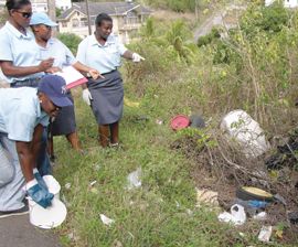 VECTOR CONTROL DECLARES WAR ON CITY RODENTS