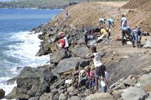 What is bringing multitude of fish to waters at Stubbs Bay?