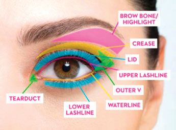 Detailed  eyeshadow application