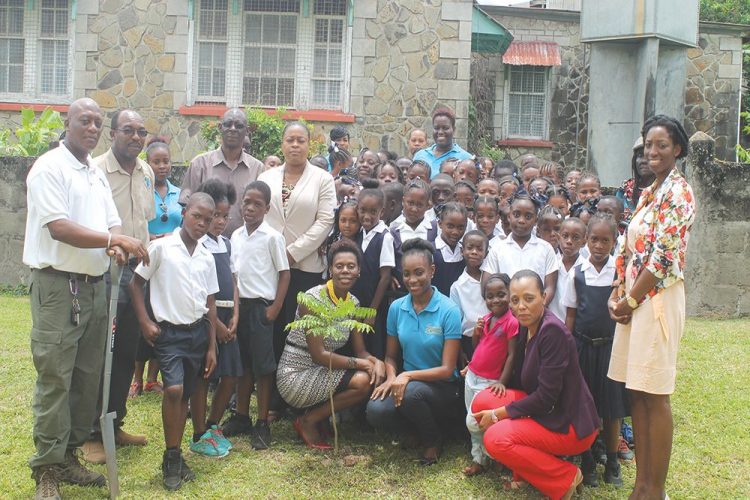 Searchlight recognizes World  Environment Day with tree planting