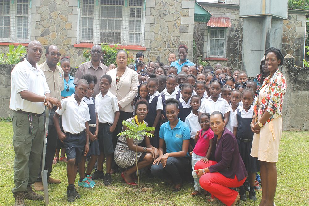 Searchlight recognizes World  Environment Day with tree planting