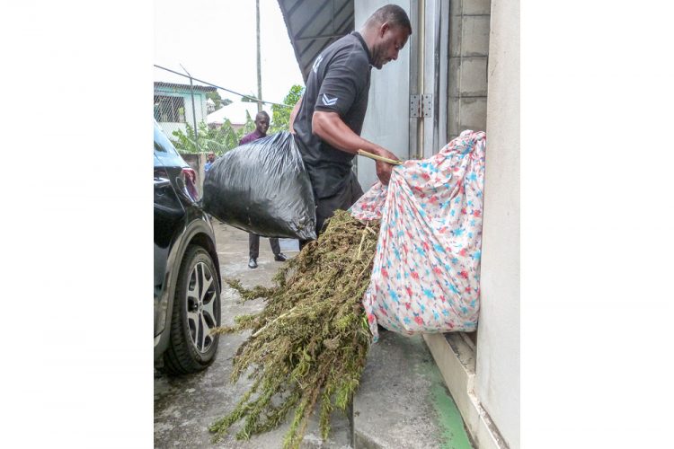 Rose Hall man charged for 169 pounds of marijuana