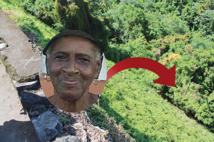 Elderly woman falls to her death over embankment