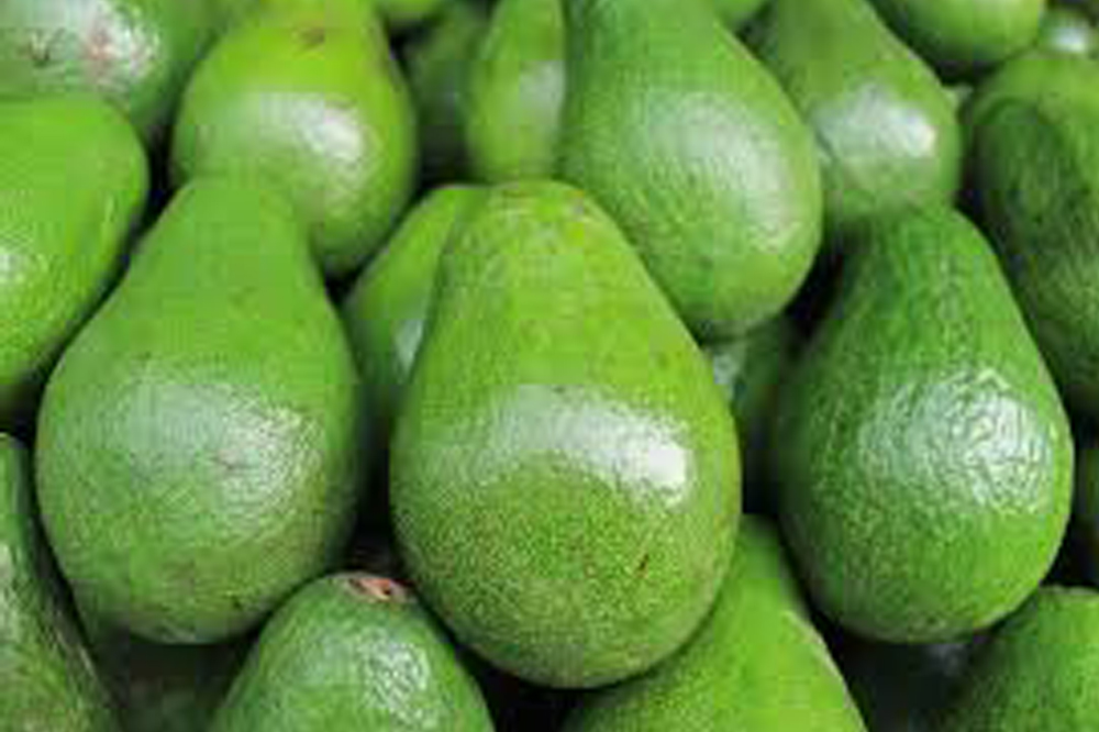 Vermont resident fined $400 for theft of avocados