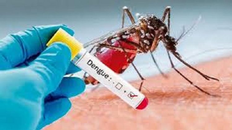 30-year-old female is the 6th person to die from dengue in SVG