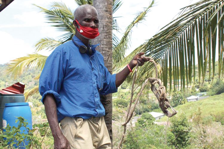 Cattle thieves leaving just ropes, manure for angry  owners