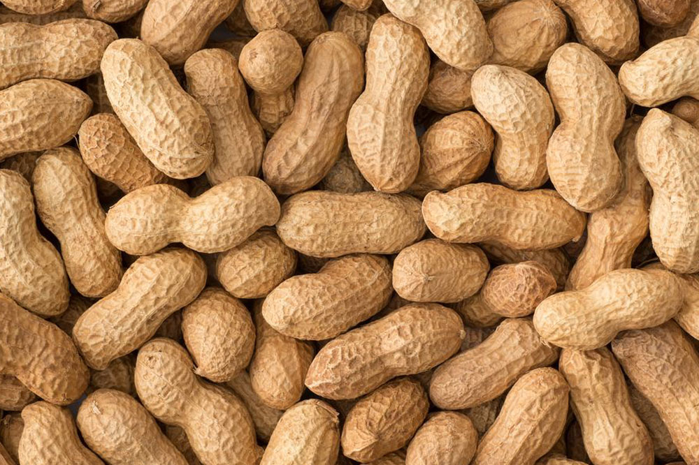 Peanut thief makes quick buck off sleeping vendors