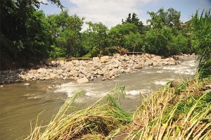 Women escape watery deaths in South Rivers