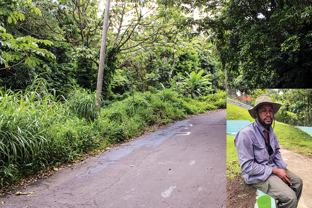 Youngsters’ bike ride ends in tragedy