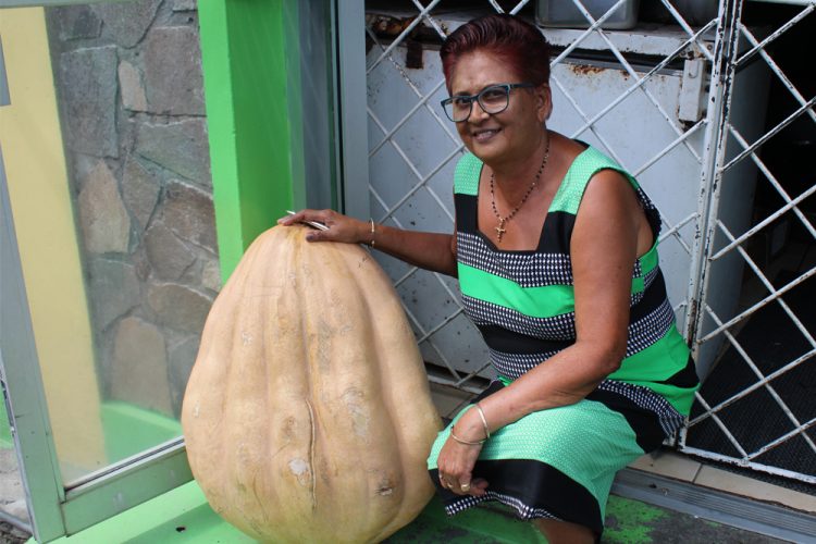 Restaurateur/farmer reaps an over 100-pound pumpkin