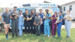 Medical students volunteer at VSPCA