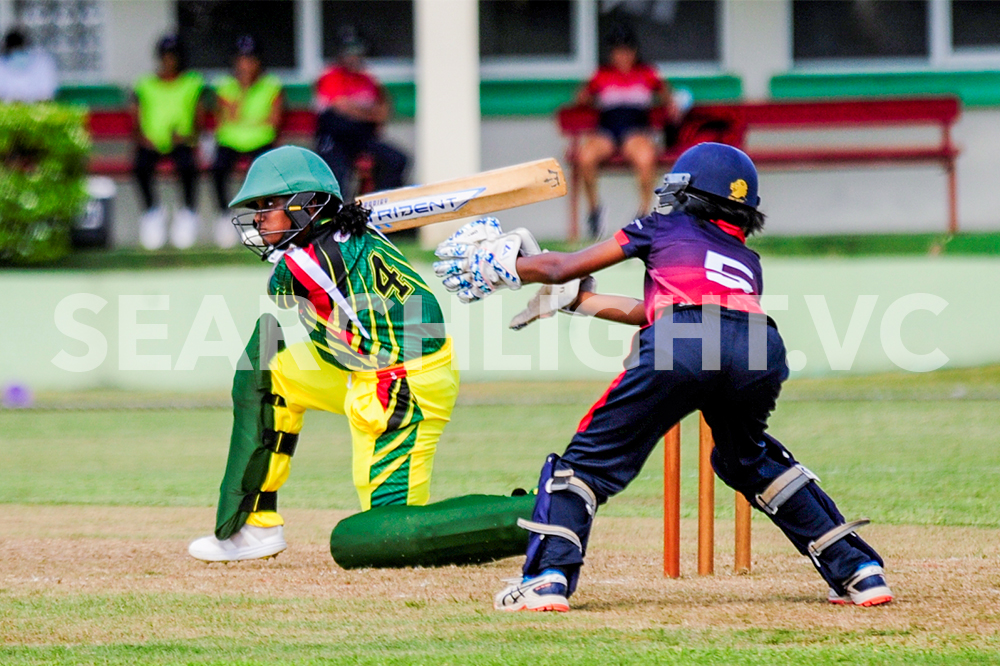 USA bowls off  historic female cricket tour with victory