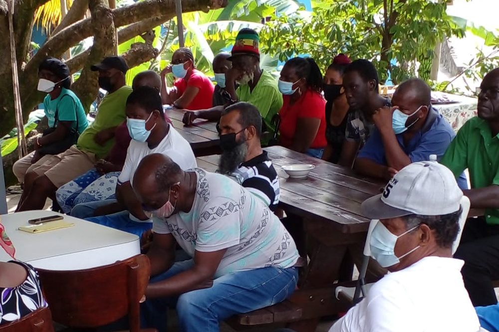 Farmers ready  to try hands at  garlic production + video