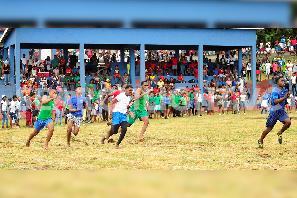 Green House makes history at Sandy Bay sports