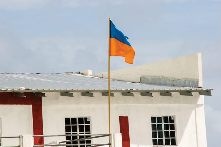 Vincy businessman flies flag in support of Ukraine