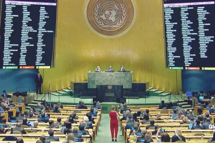 SVG among 141 UN Member States to vote for end to war