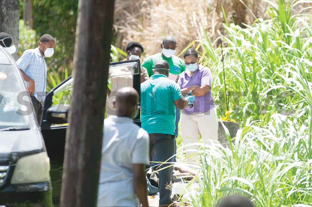 Remains of female found stuffed in bag