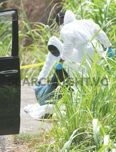 Remains of female found stuffed in bag