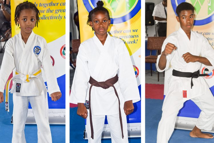 Young karatekas test Kata skills