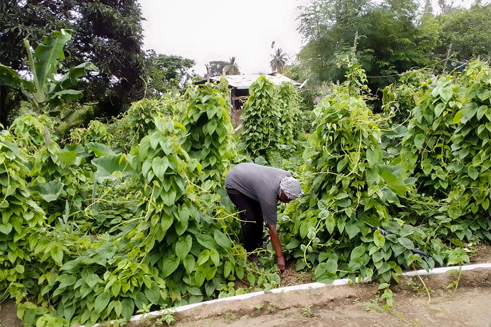 Take farming as a business advises Lauders resident